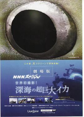 NHK特别节目世界初摄影！深海超巨大乌贼