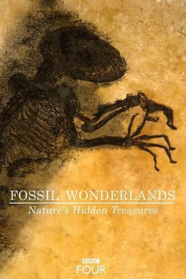 化石仙境：隐藏在自然中的宝藏